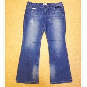 Low Rise Boot Cut Jeans